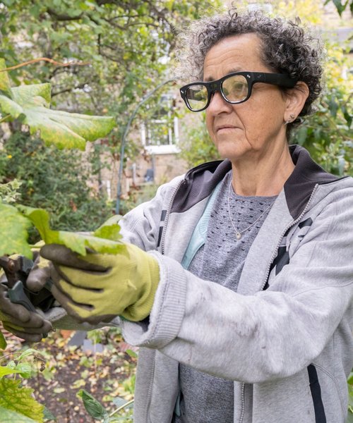 Getting support with daily sequences